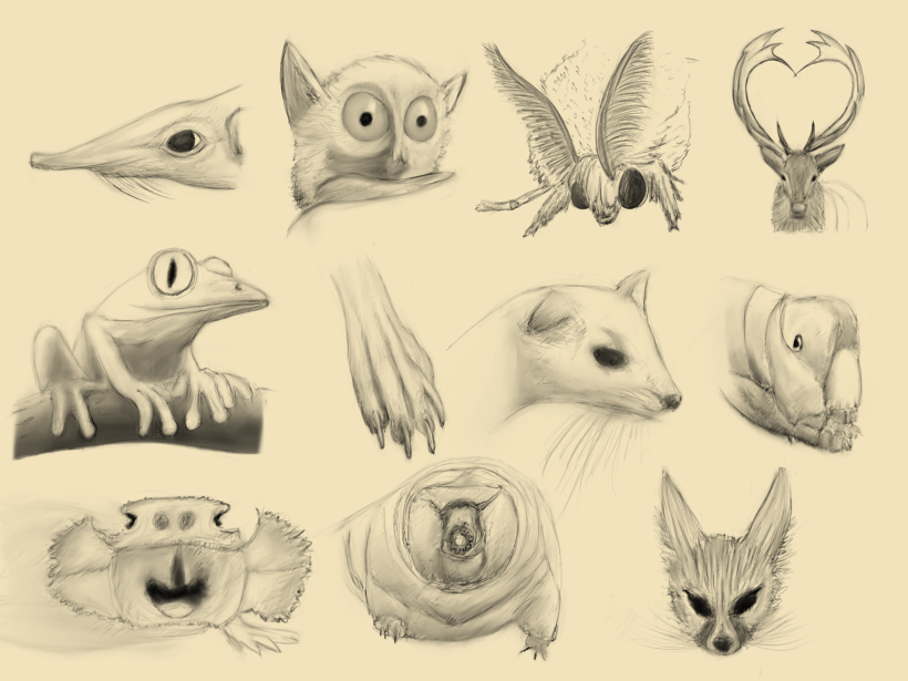Design Stack: A Blog about Art, Design and Architecture: Animal Sketches  Drawing Studies