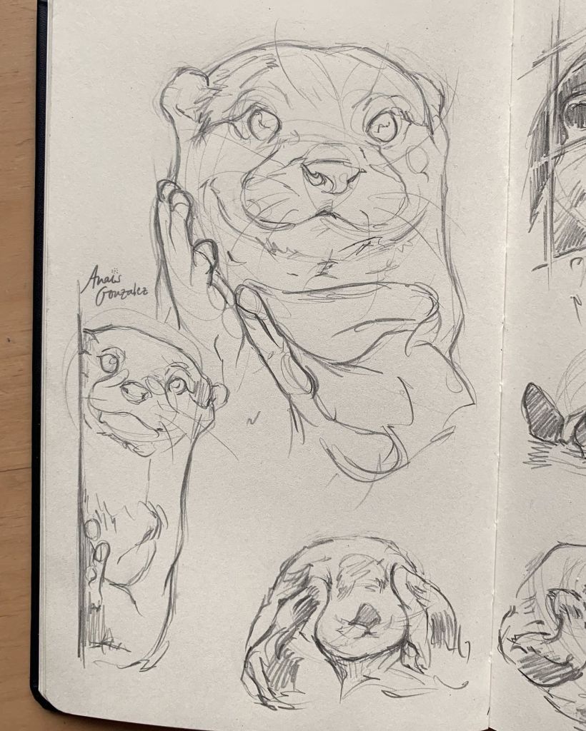 Cute otter sketches 🦦✨ / Bocetos de nutrias cuquis 🦦✨ 2
