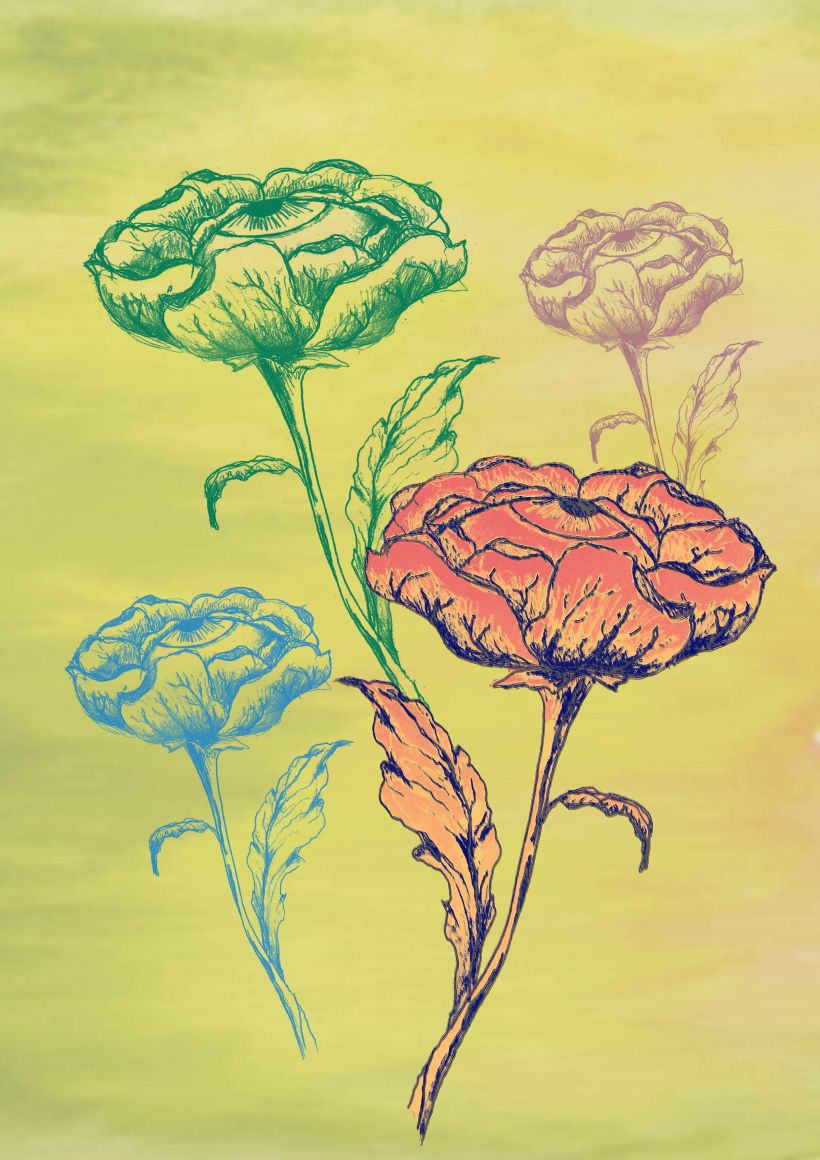 3-colours flowers