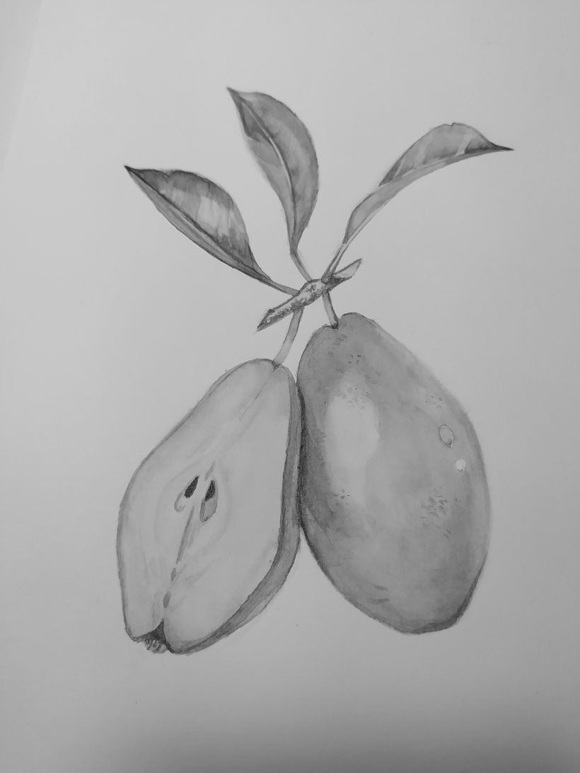 Una pera muy asustada. Mi proyecto del curso: Ilustración botánica realista: conecta con la naturaleza 6