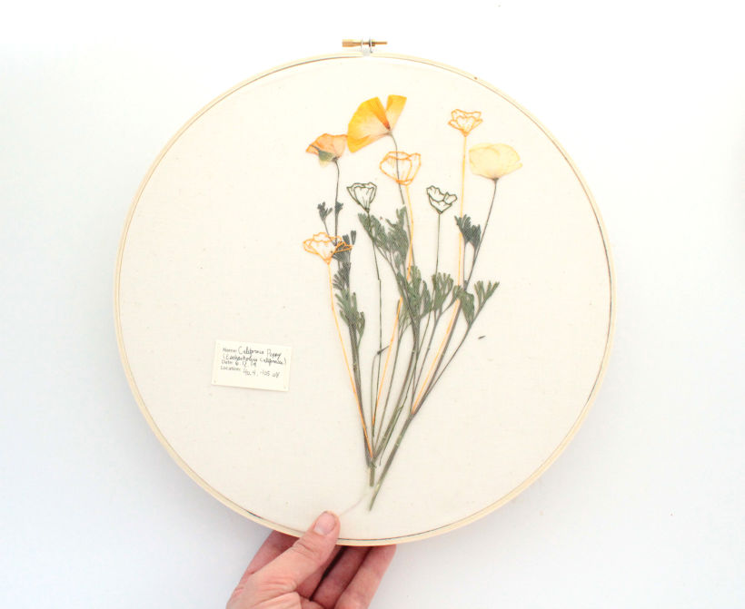 Pressed Plant Embroidery 4