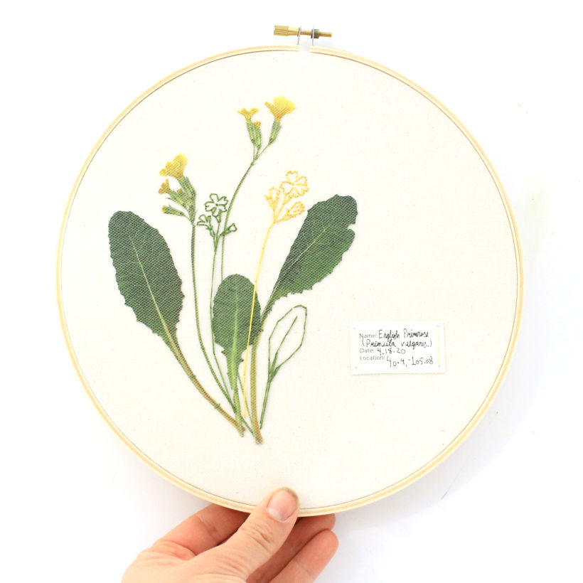 Pressed Plant Embroidery 6