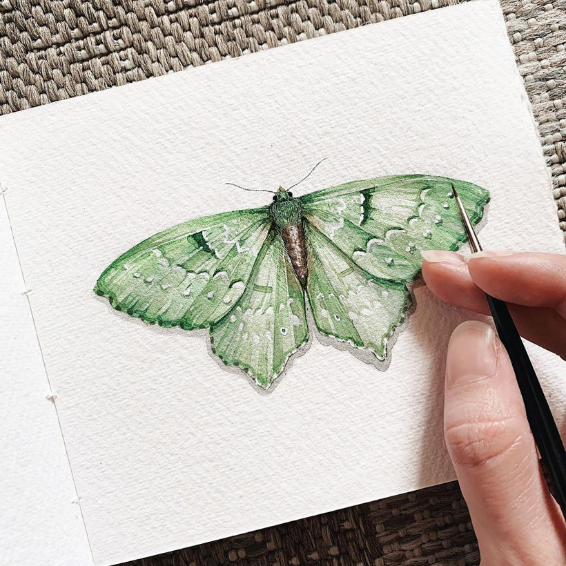 British Emerald Moth