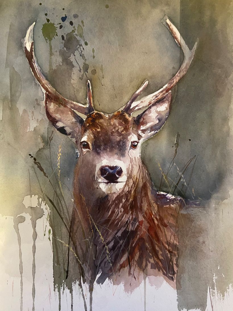 Once happy with this, I repainted the stag in watercolour and gave it a cooler background 