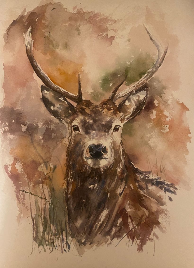 I painted a stag but disliked the warm, patchy background which did nothing to enhance the stag 