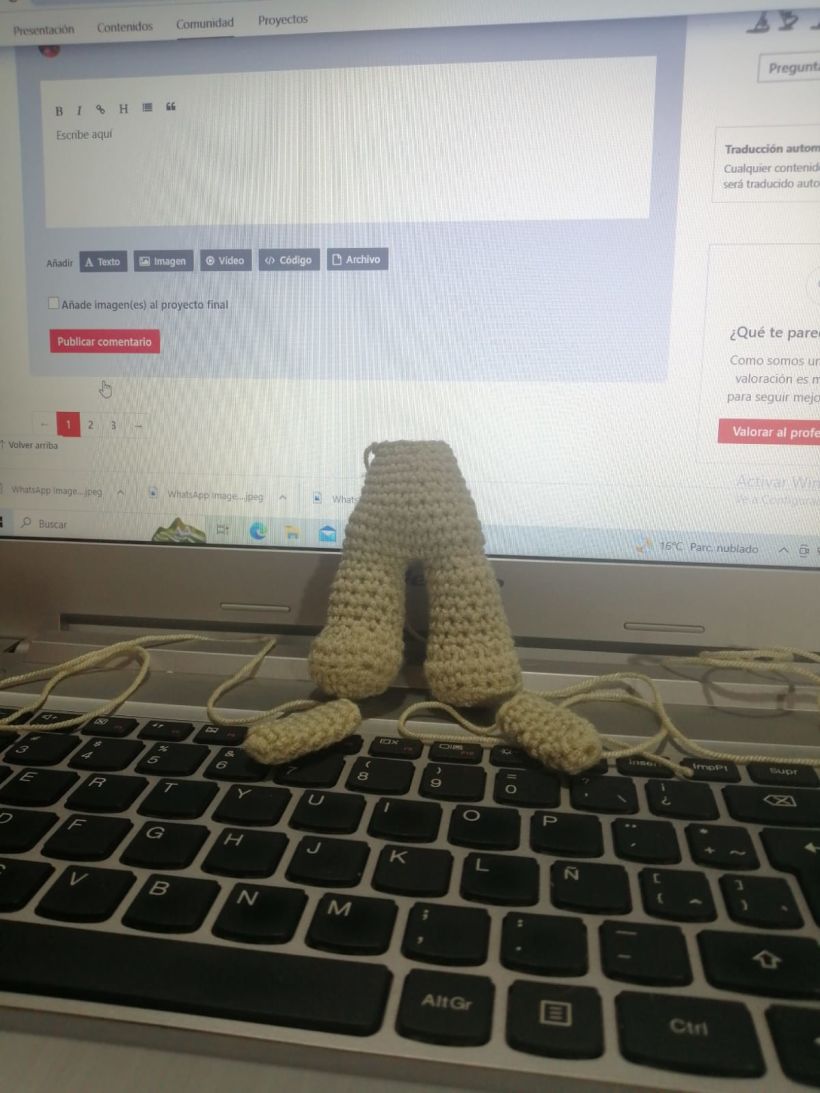Mi proyecto del curso: Amigurumis: personas tejidas a crochet 4