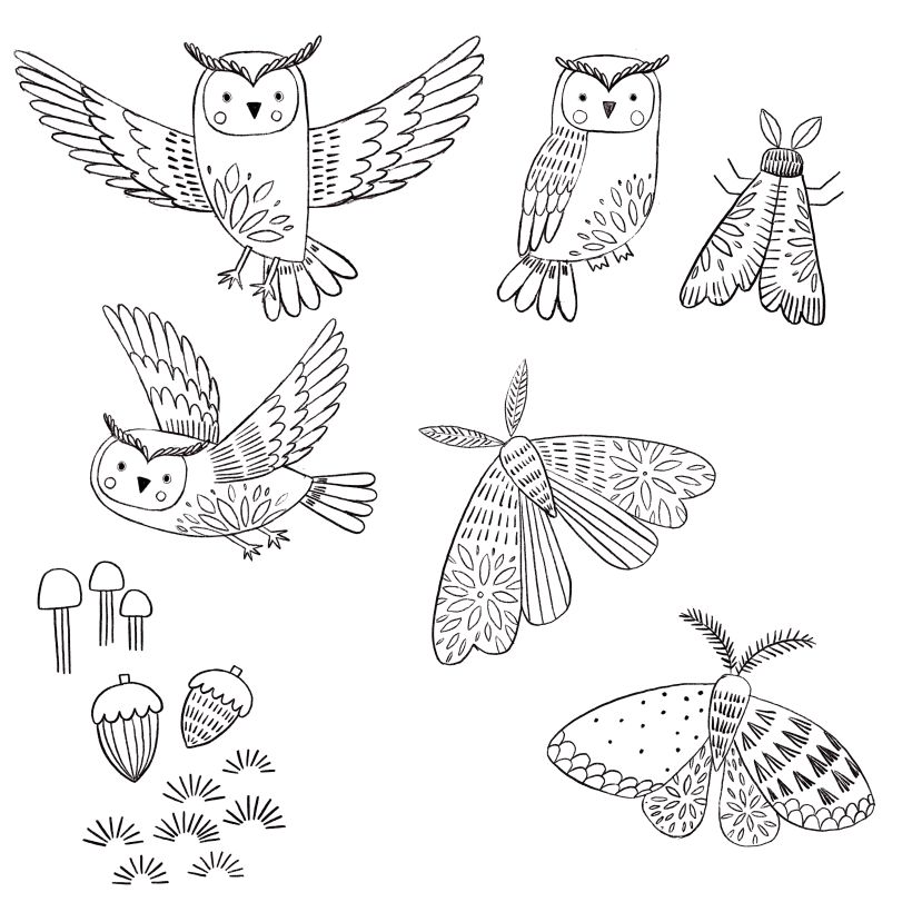 Owl and moth sketches