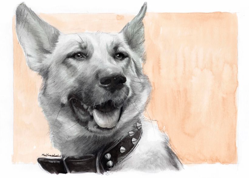 Caitlin Sue - Hyper-realistic German Shepherd Dog