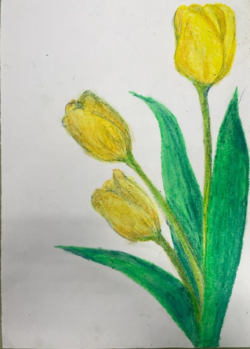 Dibujo tulipanes 1