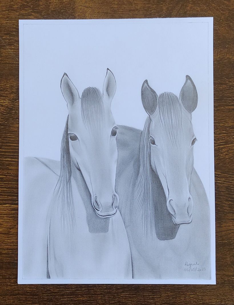 Curso gratis de desenho de cavalos