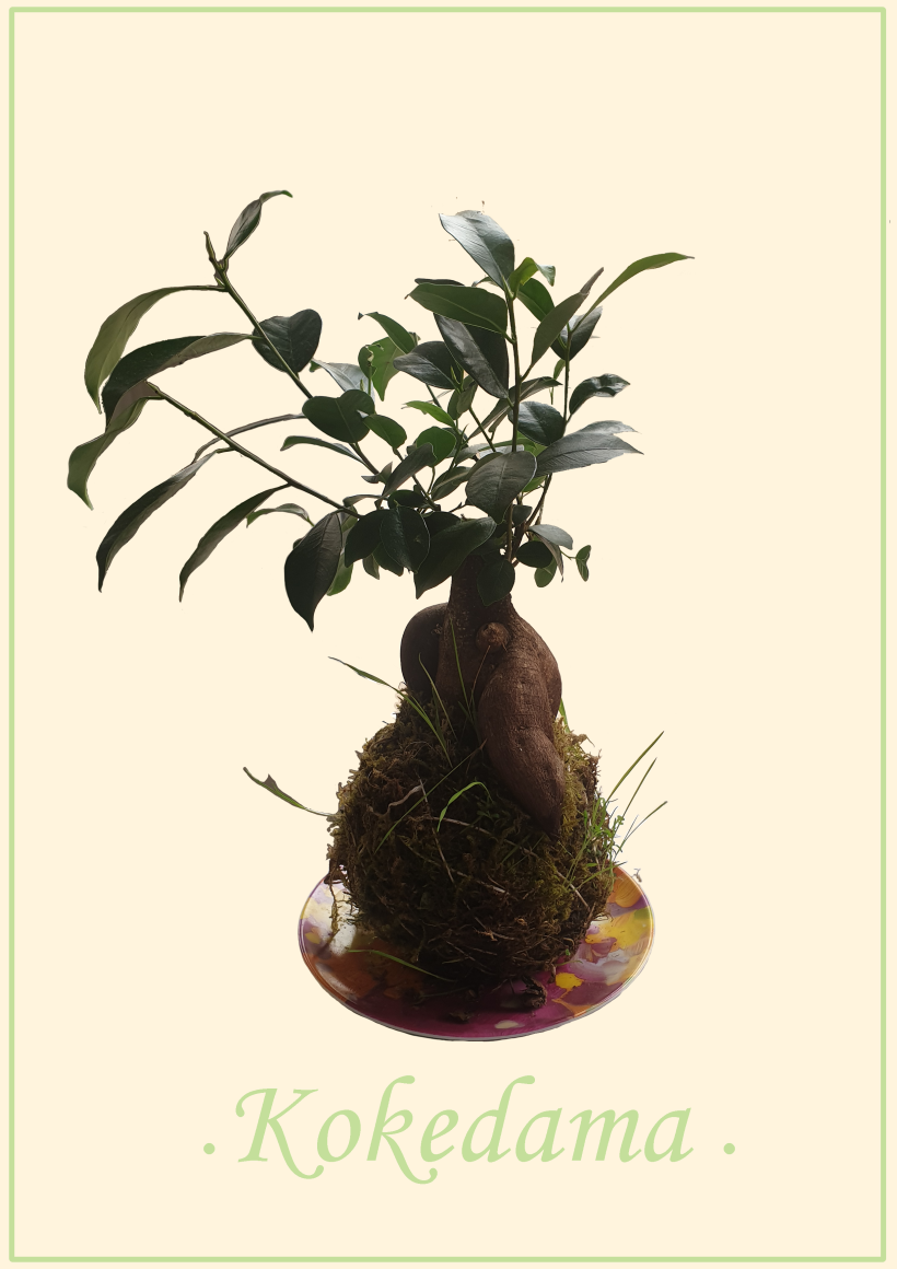 Kokedamas: Create Natural Moss Pots  1