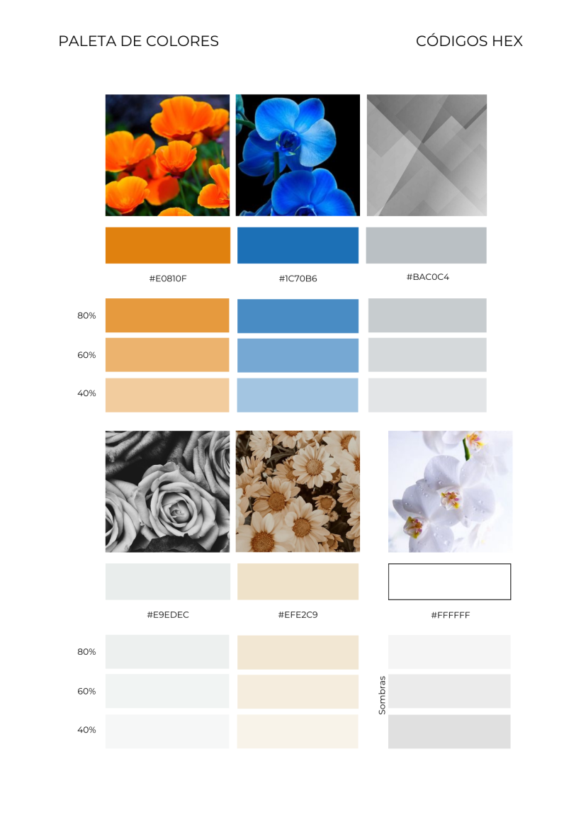 Mi proyecto del curso: Diseño de feed de Instagram con Canva 3