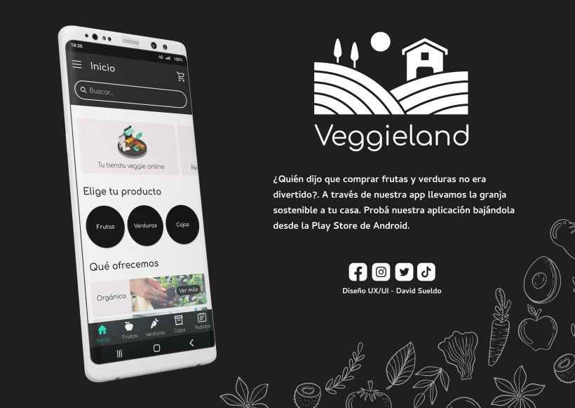 Veggieland - Diseño UX/UI 1