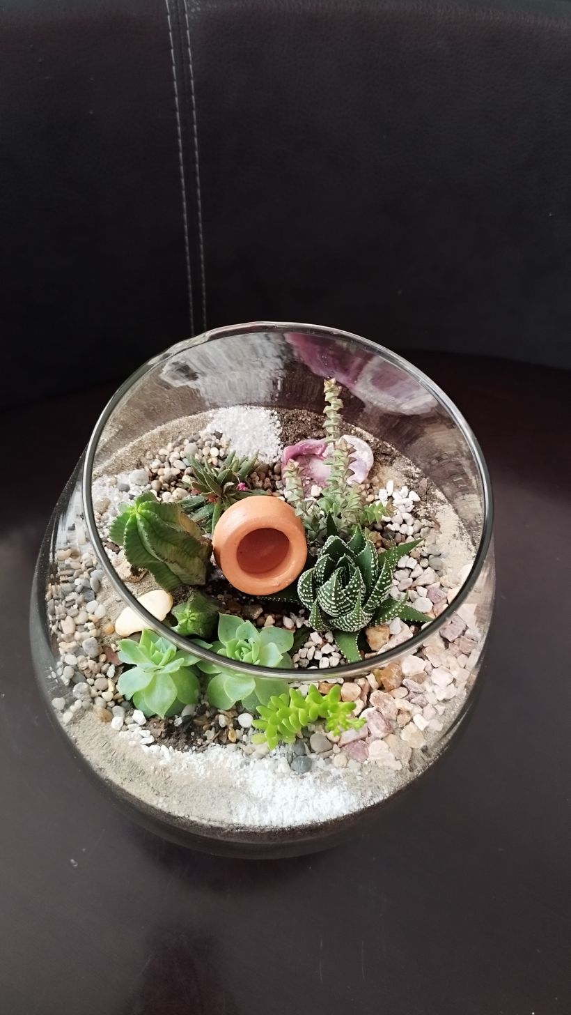 Mi proyecto del curso: Arte vegetal: crea tu propio terrario abierto 5