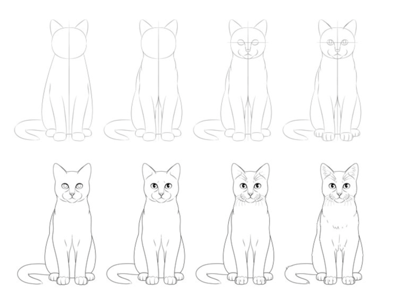 How to Draw a Realistic Cat Step-by-step | Domestika