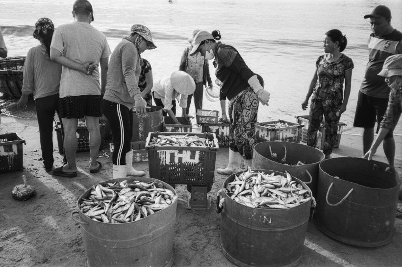 After fishermen unload their catch, the womenfolk weigh each tub and crate. 