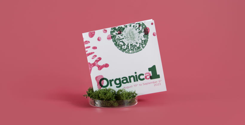 Organica1: Creative Portfolio with Own Identity 1
