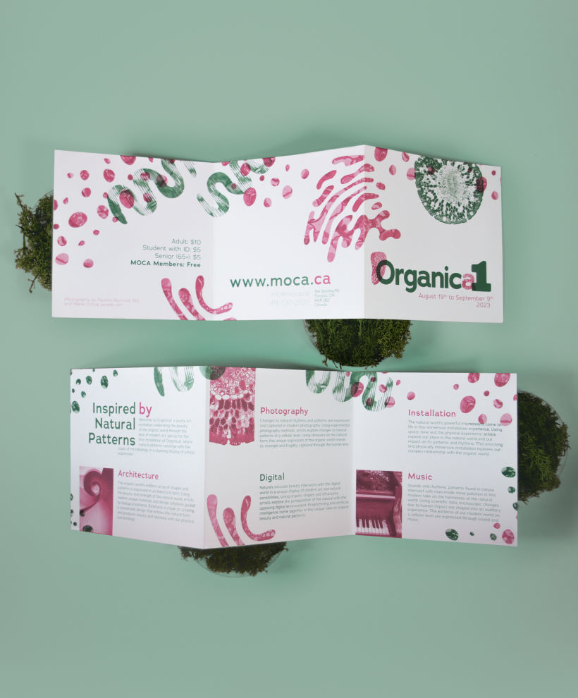 Organica1: Creative Portfolio with Own Identity 6