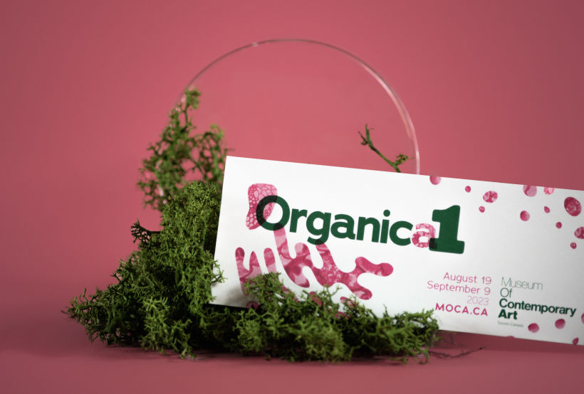 Organica1: Creative Portfolio with Own Identity 5