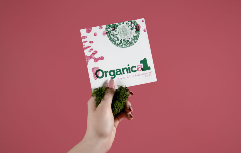 Organica1: Creative Portfolio with Own Identity 7