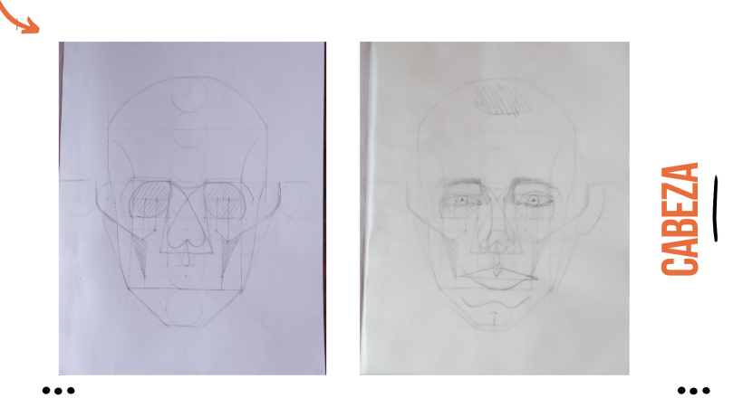 Mi proyecto del curso: Dibujo anatómico para principiantes 4
