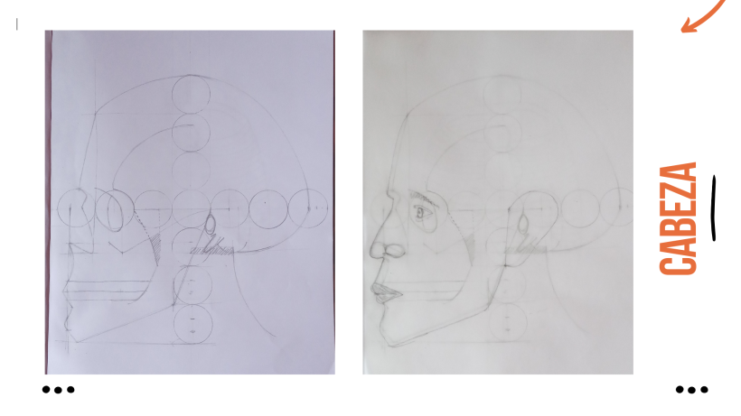 Mi proyecto del curso: Dibujo anatómico para principiantes 5
