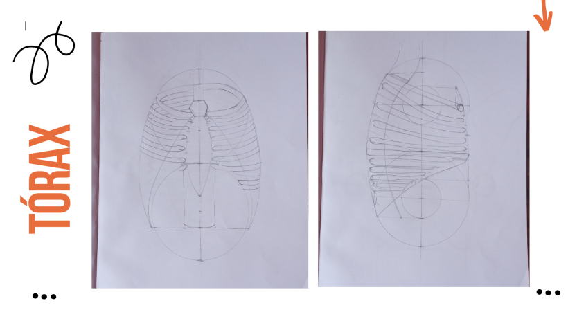 Mi proyecto del curso: Dibujo anatómico para principiantes 6