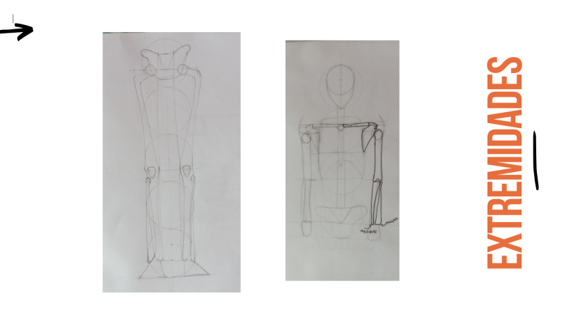 Mi proyecto del curso: Dibujo anatómico para principiantes 9
