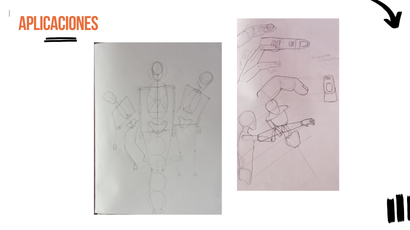 Mi proyecto del curso: Dibujo anatómico para principiantes 10