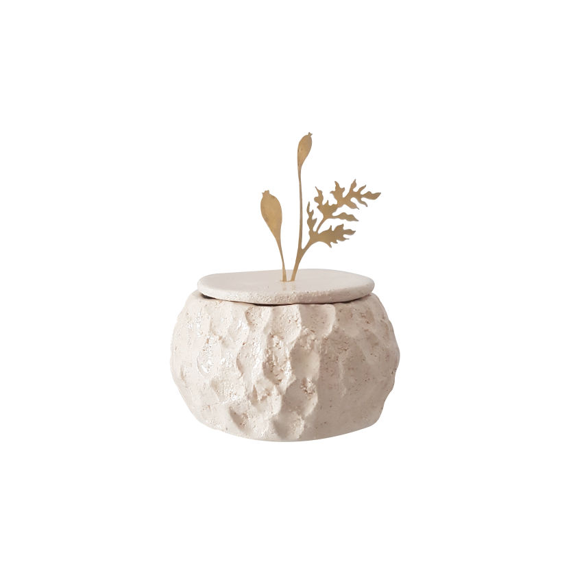 Outside Inside - Ceramic box with satin brass lid and botanical decoration