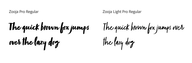 I chose to use an Adobe "hand drawn" Font called Zooja because I think it better suited the images