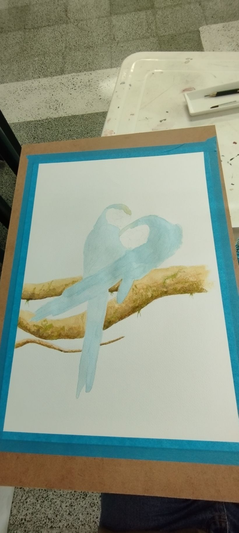 Mi proyecto del curso: Ilustración naturalista de aves con acuarela 3