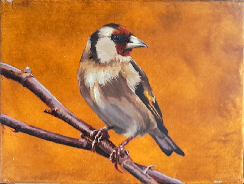 "Goldfinch" Oil on Canvas, Work in Progress.