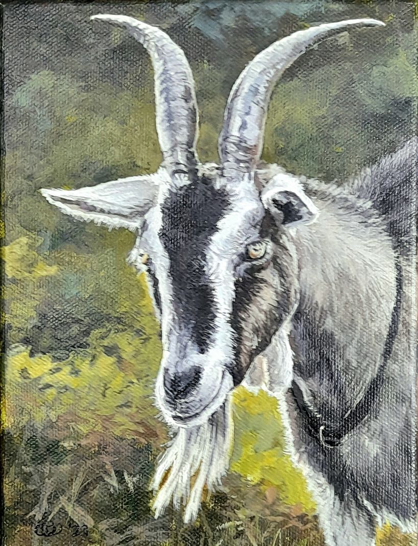 "Goat" Acrlic on Canvas