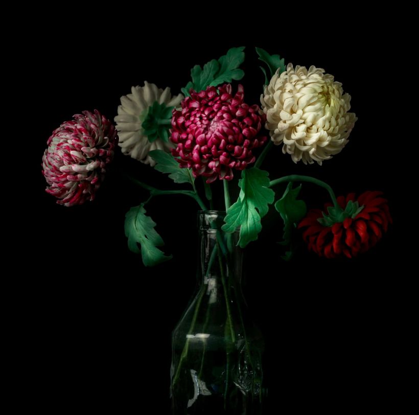 PORTFOLIO: Christina Wallis, COLD PORCELAIN CLAY flowers