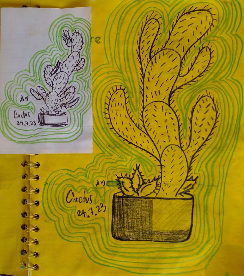 Mi proyecto del curso: Cuadernos de dibujo: encuentra un lenguaje propio 2