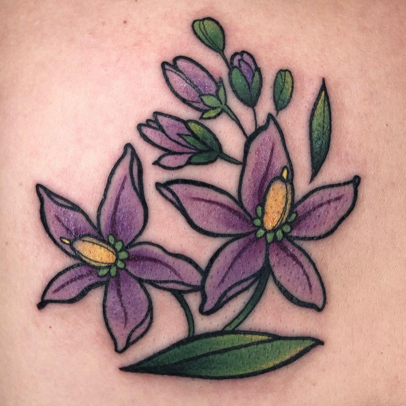 Columbine flowers, thanks Megan! - - - - - - - #Tattooartist #tattoo # tattoos #ink #art #tattooart #inked #tattooed #tattooist #tattooli... |  Instagram