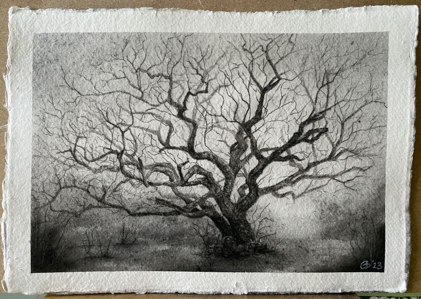 Learning how to use charcoal and watercolour