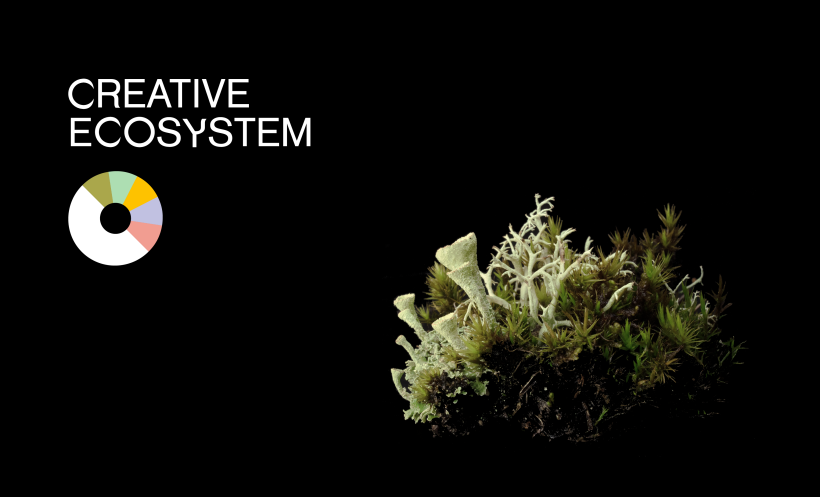 Creative Ecosystem  1