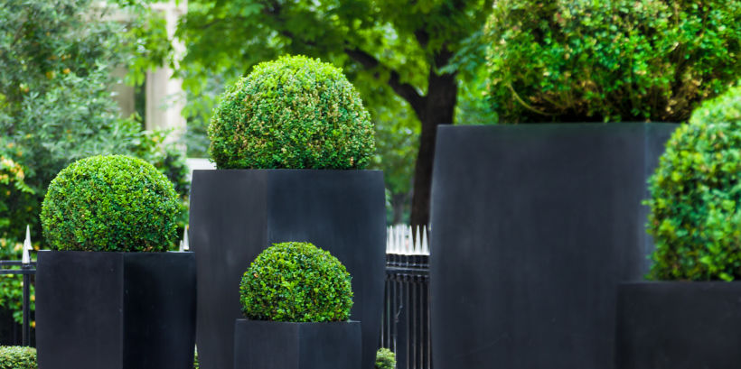 How to Decorate a Garden: 12 Inspiring Ideas 12