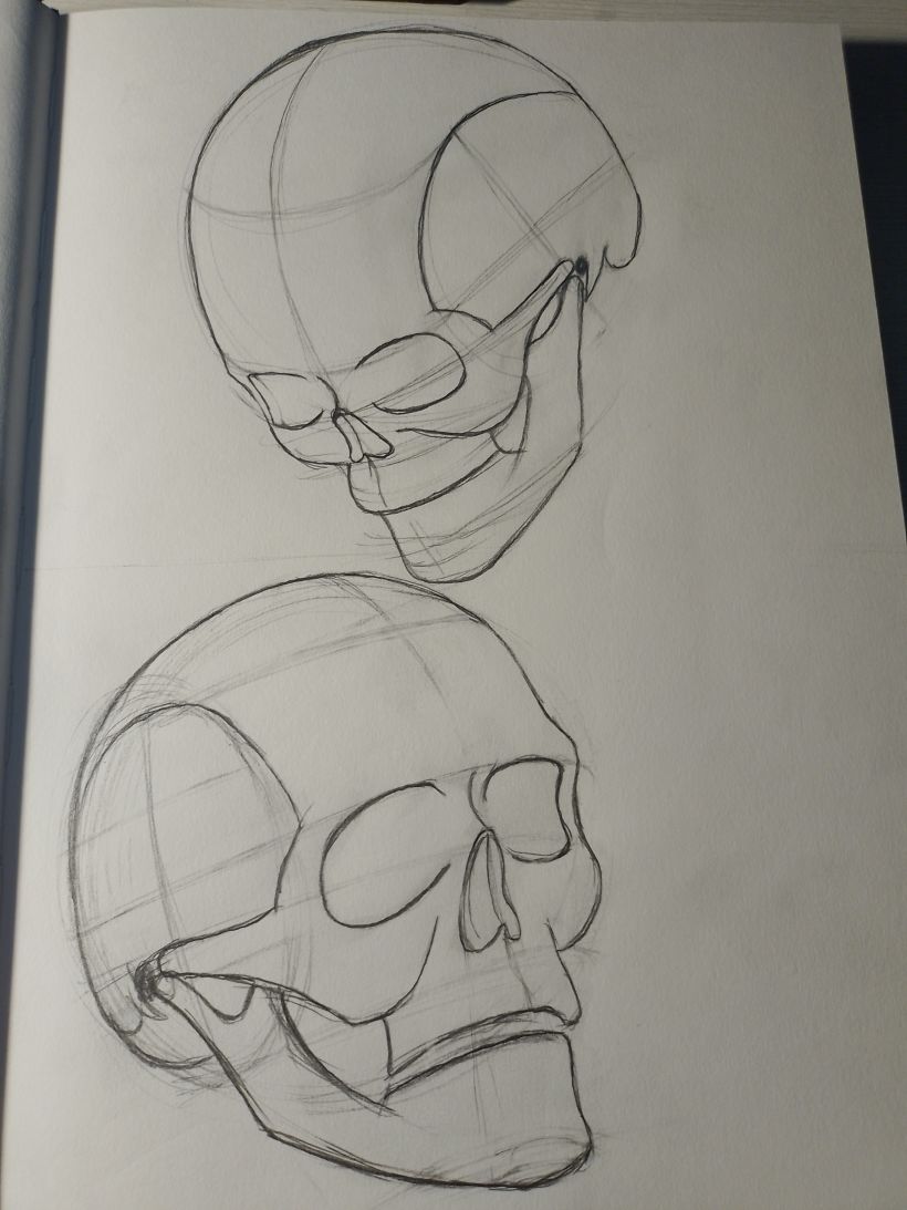 Mi proyecto del curso: Dibujo anatómico de la cabeza humana 6