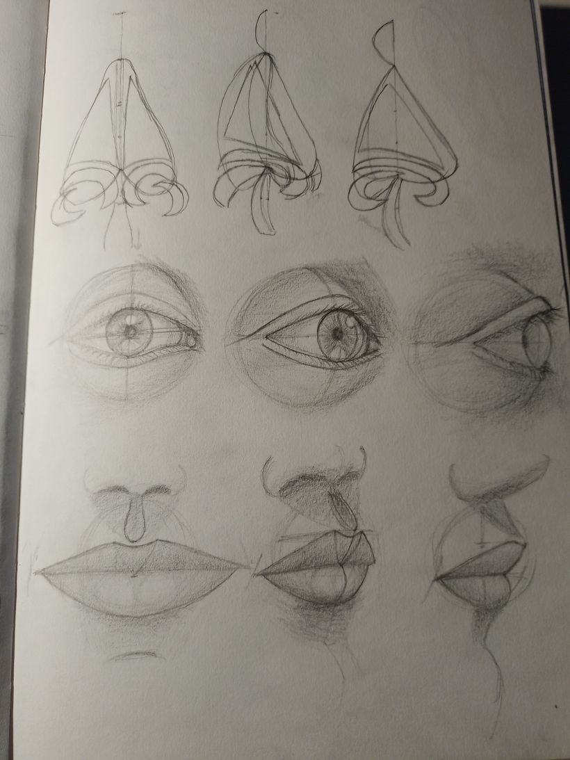 Mi proyecto del curso: Dibujo anatómico de la cabeza humana 9