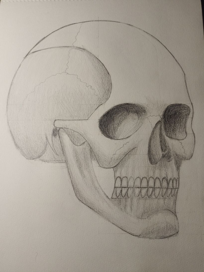 Mi proyecto del curso: Dibujo anatómico de la cabeza humana 7