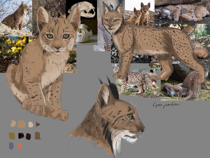 Referencias lince ibérico / Iberian lynx references