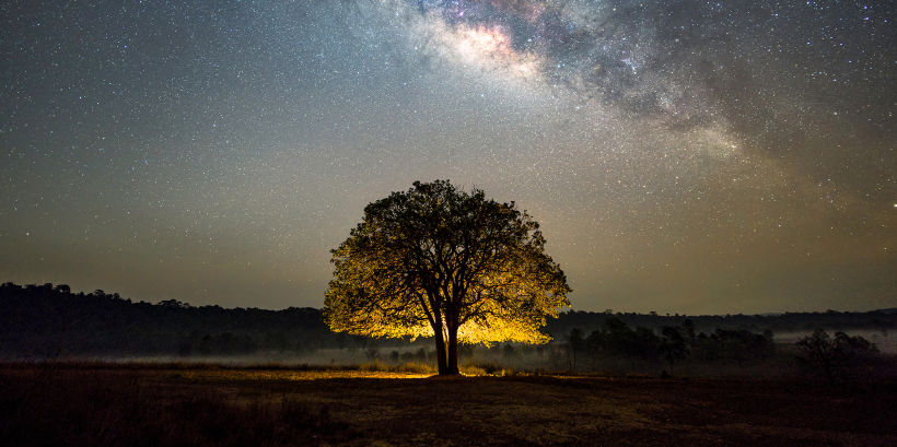 14 Jenis Fotografi Yang Perlu Anda Ketahui 5