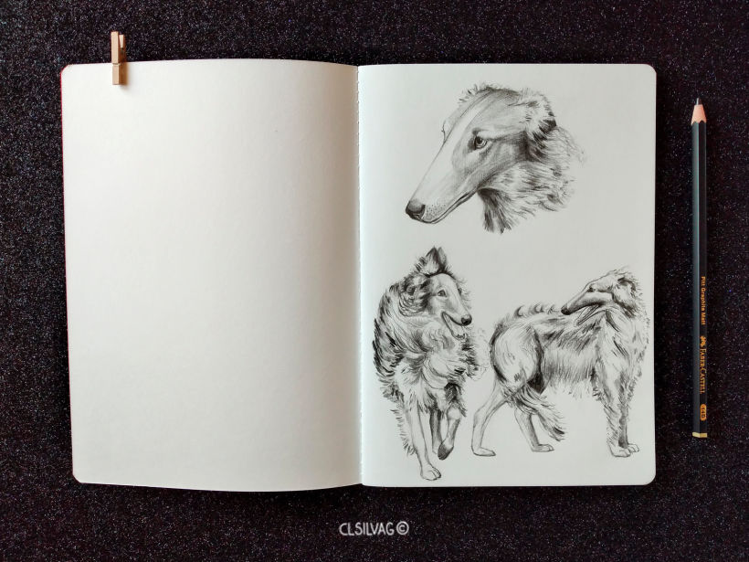 Raza de perro: Borzoi - Libretas Hahnemuhle Sketch & Note, tamaño A5.