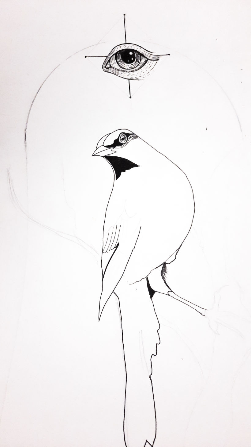 Mi proyecto del curso: Ilustración realista de pájaros con elementos creativos 2