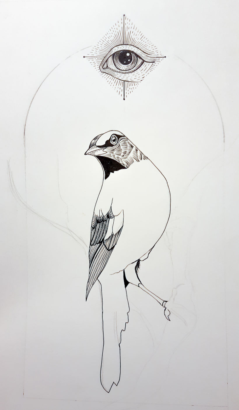 Mi proyecto del curso: Ilustración realista de pájaros con elementos creativos 3