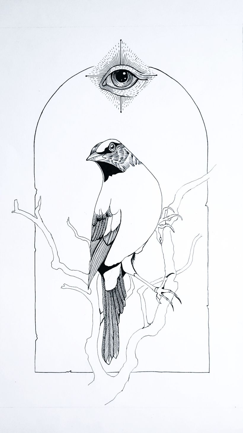 Mi proyecto del curso: Ilustración realista de pájaros con elementos creativos 4