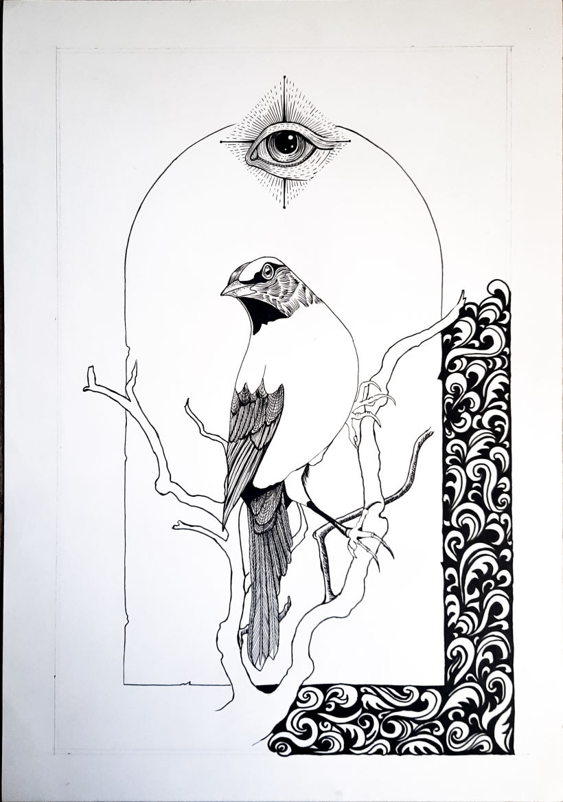 Mi proyecto del curso: Ilustración realista de pájaros con elementos creativos 5